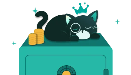 El gato duerme sobre una caja fuerte.